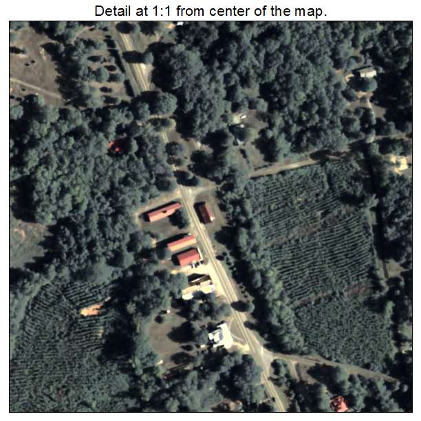 Maxeys, Georgia aerial imagery detail