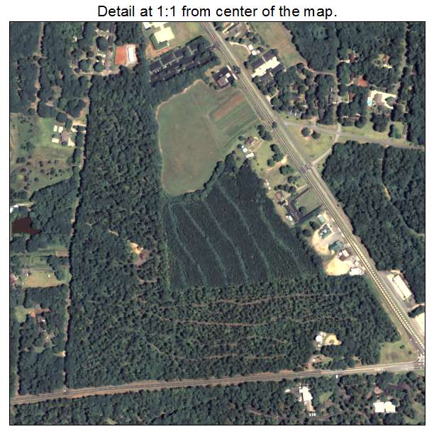 Pine Mountain, Georgia aerial imagery detail