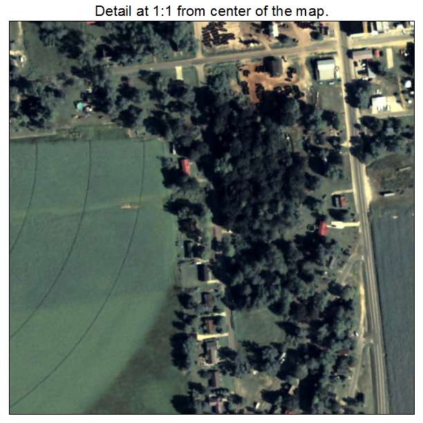 Pineview, Georgia aerial imagery detail
