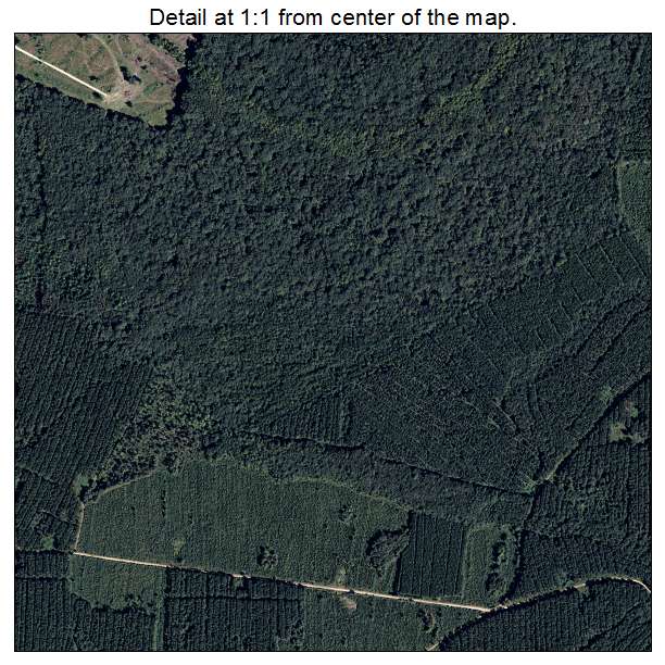Riceboro, Georgia aerial imagery detail