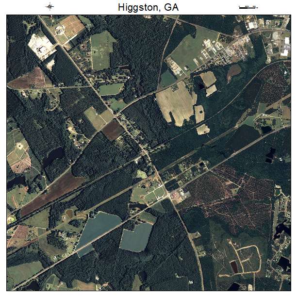 Higgston, GA air photo map