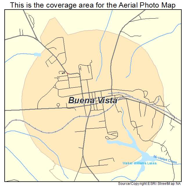 Buena Vista, GA location map 