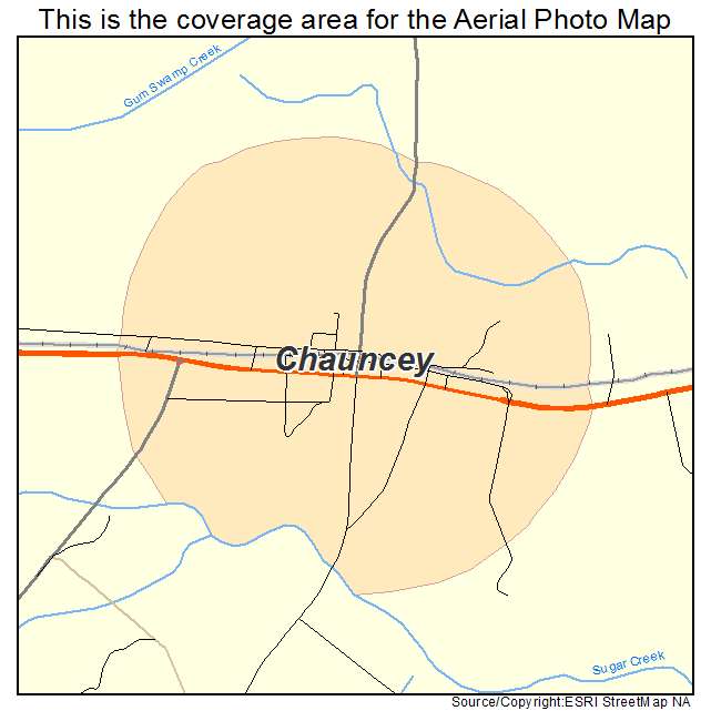 Chauncey, GA location map 