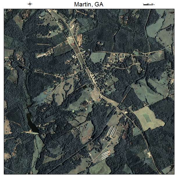 Martin, GA air photo map