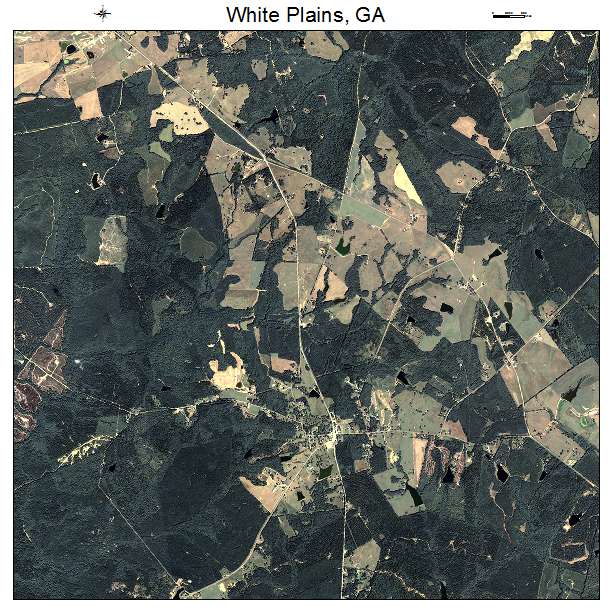 White Plains, GA air photo map