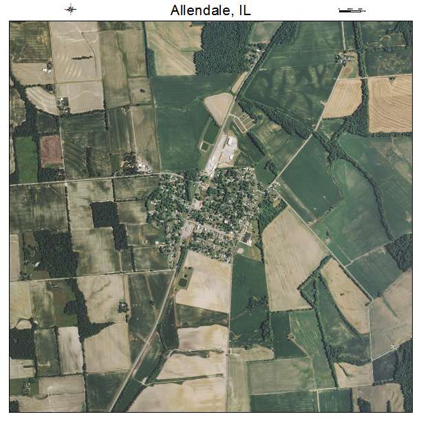Allendale, IL air photo map