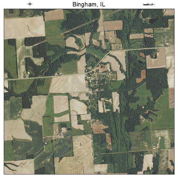 Bingham, IL air photo map