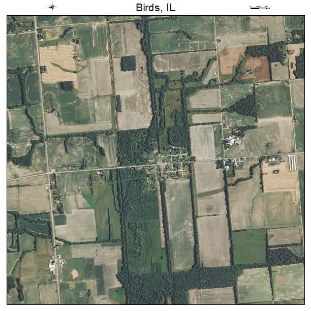 Birds, IL air photo map