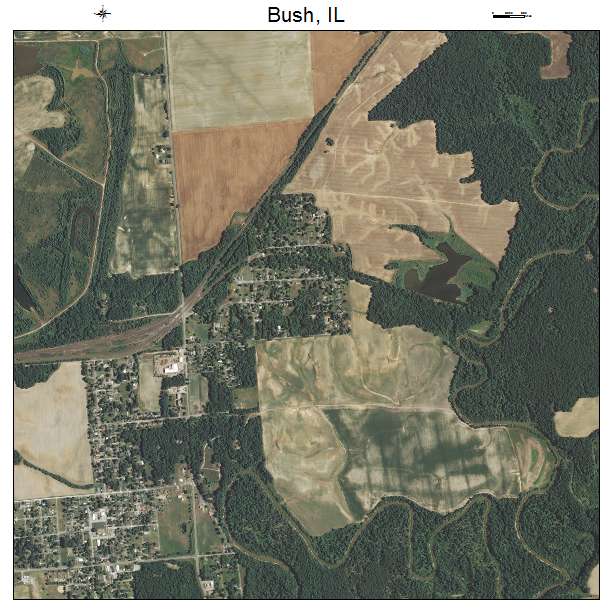 Bush, IL air photo map