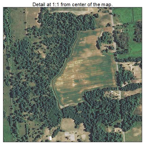 Hopkins Park, Illinois aerial imagery detail