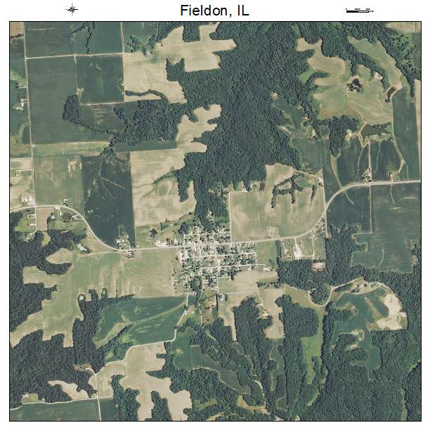Fieldon, IL air photo map
