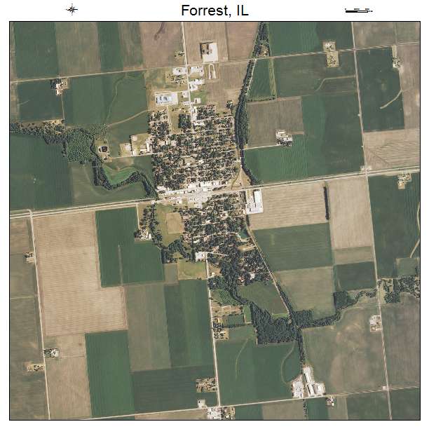 Forrest, IL air photo map