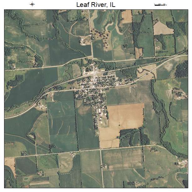Leaf River, IL air photo map