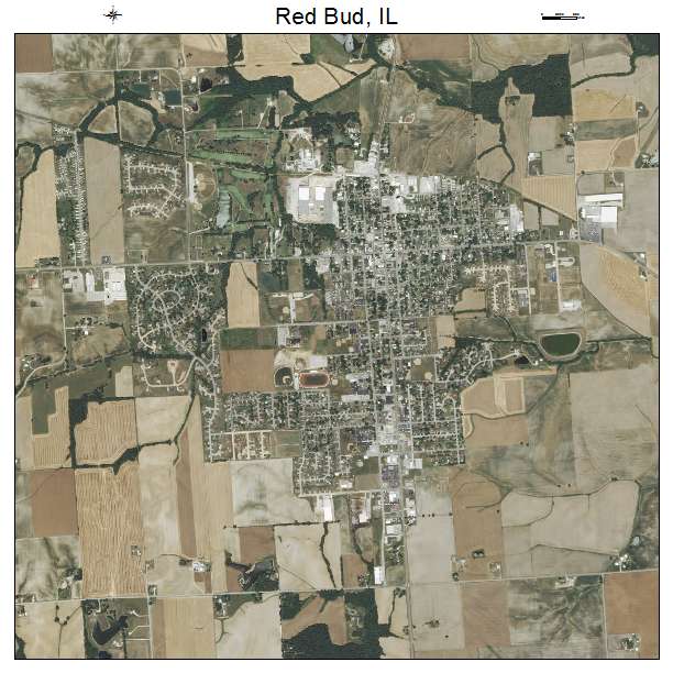 Red Bud, IL air photo map