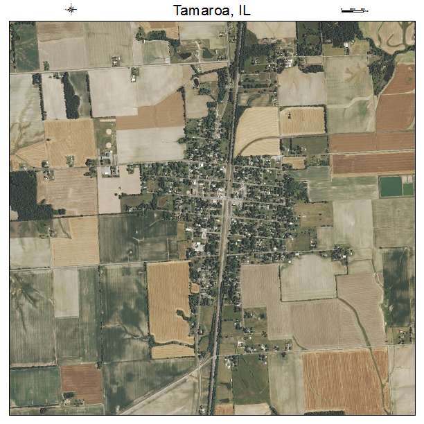 Tamaroa, IL air photo map