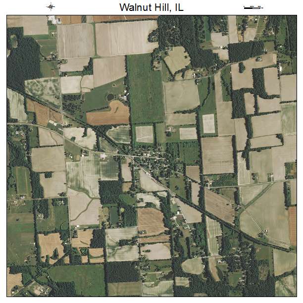 Walnut Hill, IL air photo map