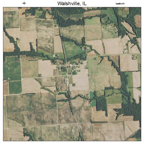 Walshville, IL air photo map