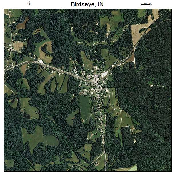 Birdseye, IN air photo map