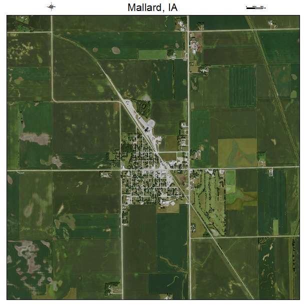 Mallard, IA air photo map