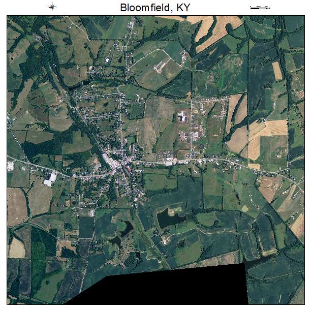Bloomfield, KY air photo map
