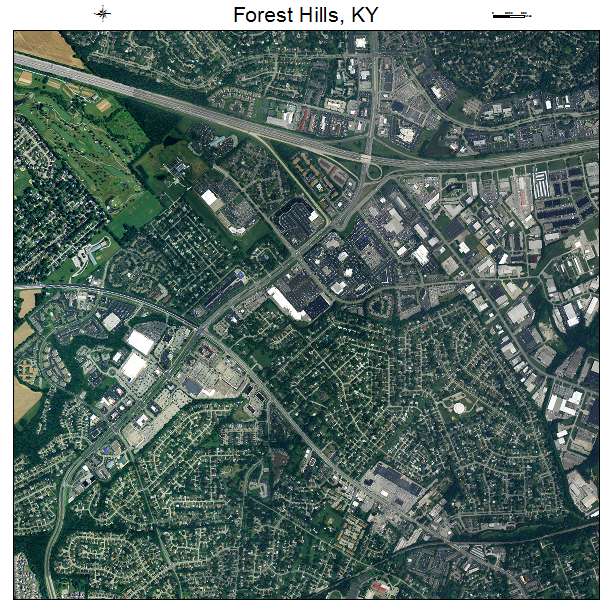 Forest Hills, KY air photo map