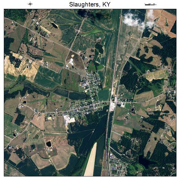 Slaughters, KY air photo map
