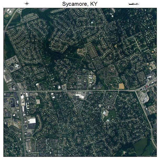 Sycamore, KY air photo map