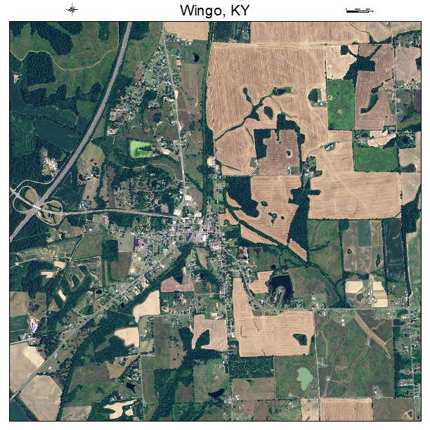 Wingo, KY air photo map