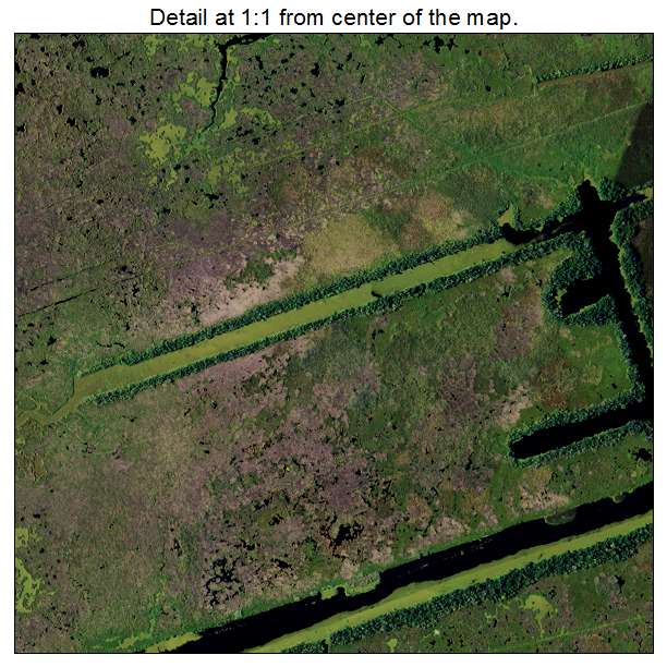 Barataria, Louisiana aerial imagery detail