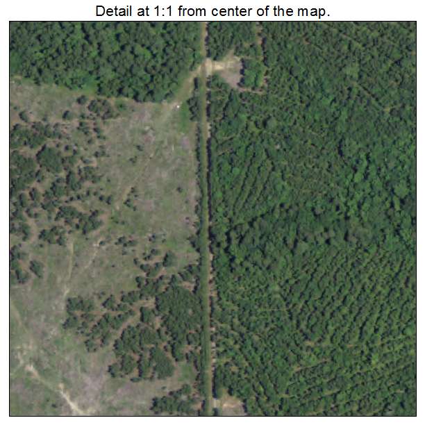 Doyline, Louisiana aerial imagery detail