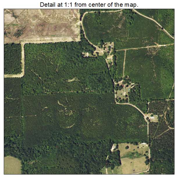 Martin, Louisiana aerial imagery detail