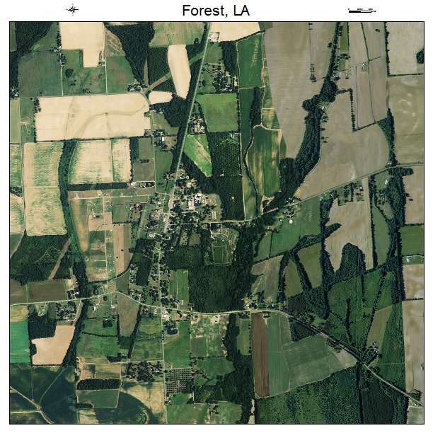 Forest, LA air photo map