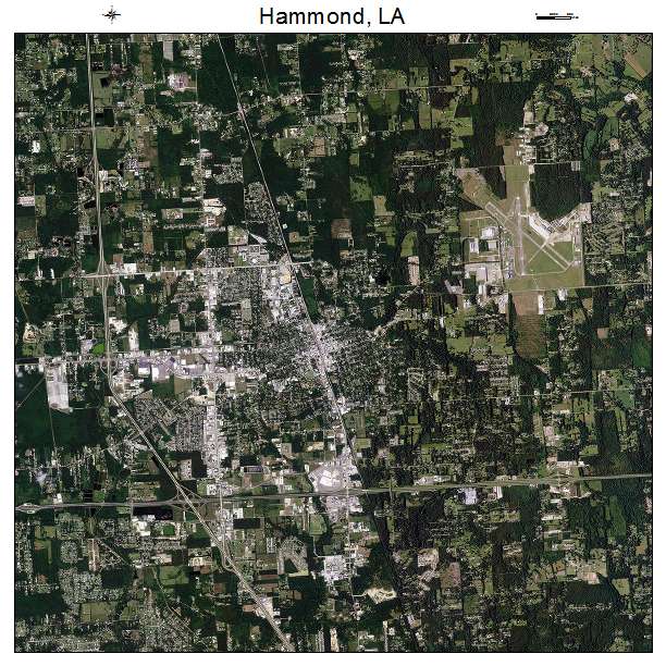 Hammond, LA air photo map