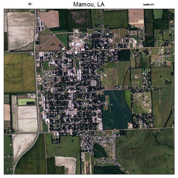 Mamou, LA air photo map