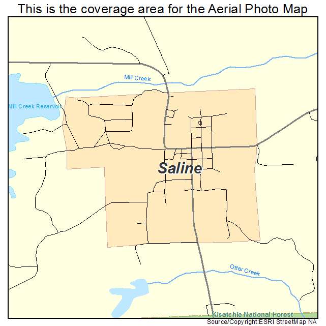 Saline, LA location map 