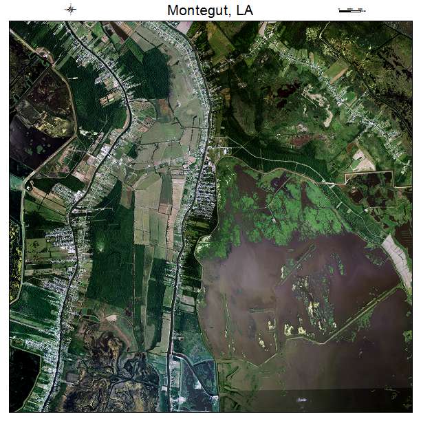 Montegut, LA air photo map