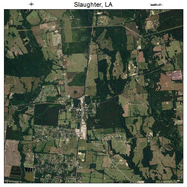 Slaughter, LA air photo map