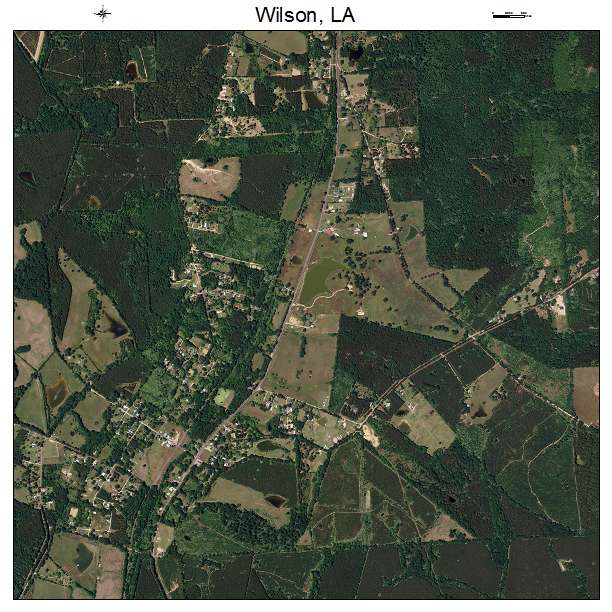 Wilson, LA air photo map