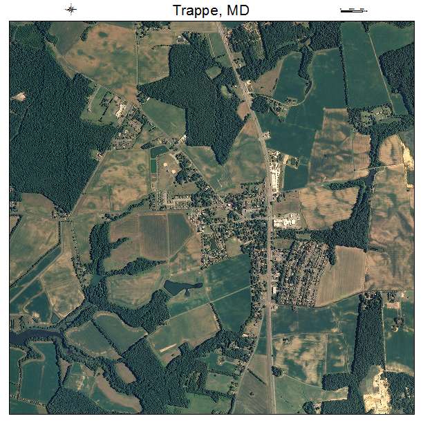 Trappe, MD air photo map