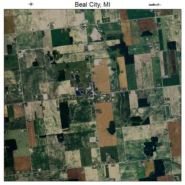 Beal City, MI air photo map