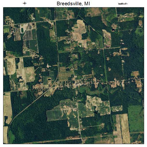 Breedsville, MI air photo map
