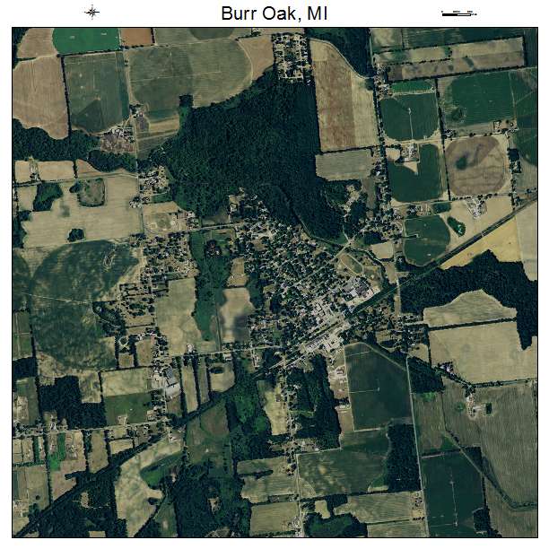 Burr Oak, MI air photo map
