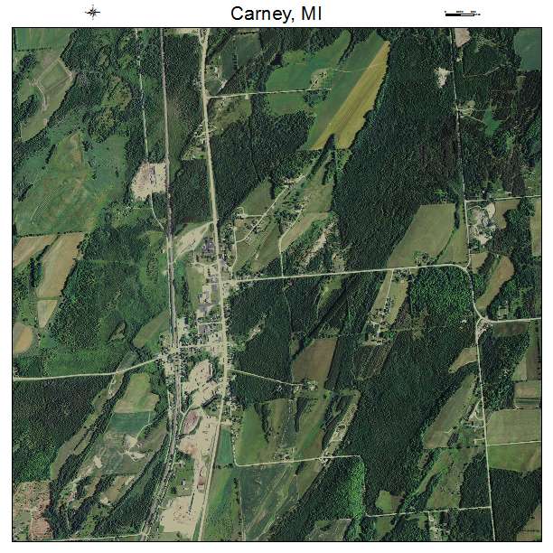 Carney, MI air photo map