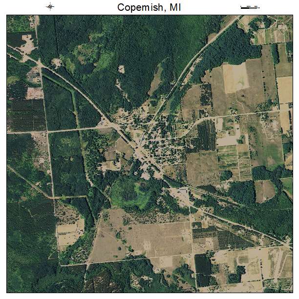 Copemish, MI air photo map