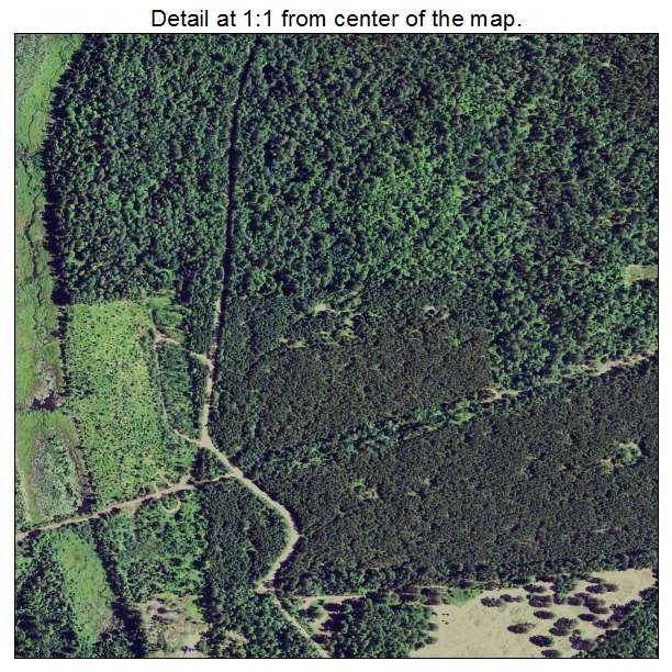 Gwinn, Michigan aerial imagery detail