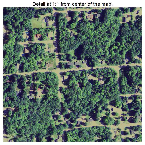Trowbridge Park, Michigan aerial imagery detail