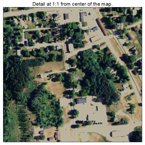 Tustin, Michigan aerial imagery detail