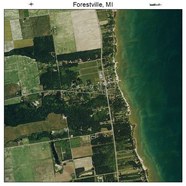 Forestville, MI air photo map