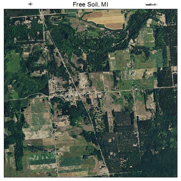 Free Soil, MI air photo map