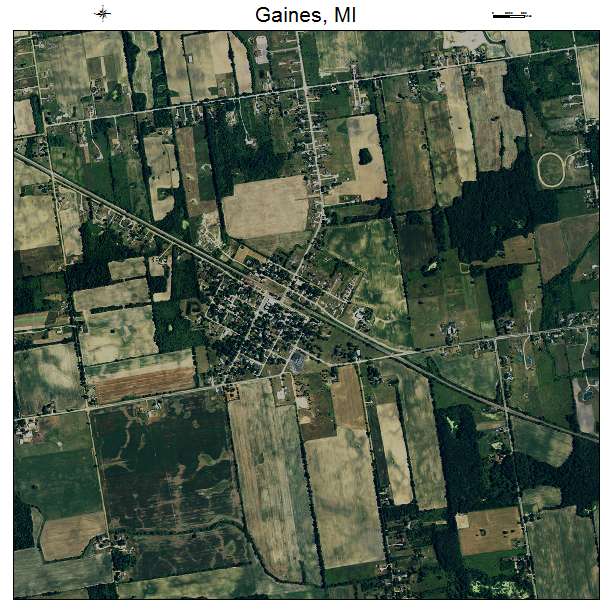 Gaines, MI air photo map